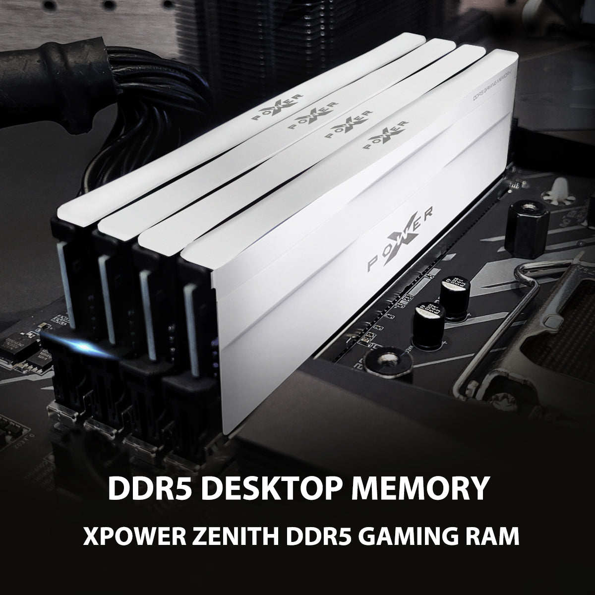 Silicon Power Zenith Gaming DDR5 6000MT/s (PC5-48000) CL30 32GB(2x16GB)-64GB(2x32GB) AMD Expo/Intel XMP 3.0 Dual Pack 1.35V Desktop Unbuffered DIMM [Weiß]