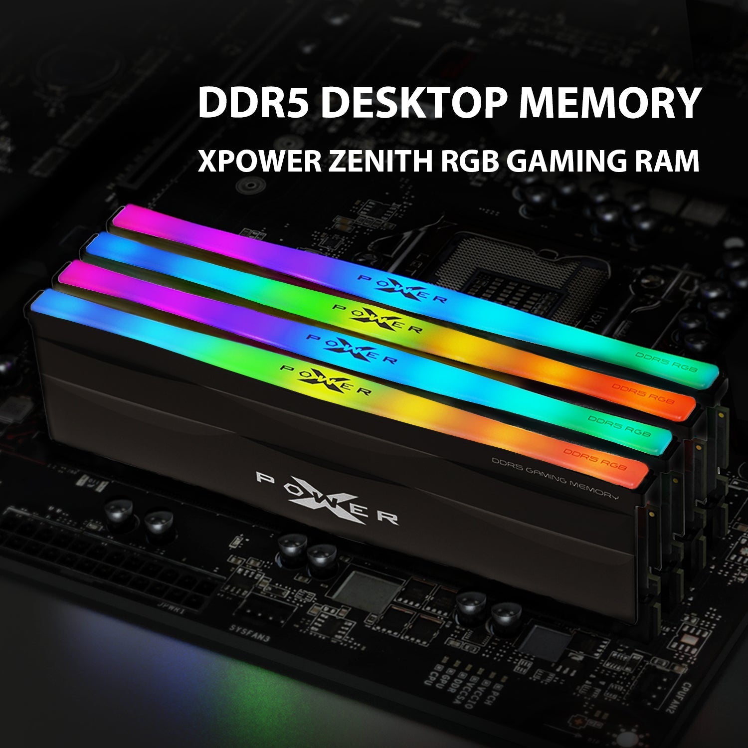 Silicon Power Zenith RGB DDR5 6000MT/s (PC5-48000) CL30 32GB(2x16GB)-64GB(2x32GB) AMD Expo/Intel XMP 3.0 Dual Pack 1.35V Desktop Unbuffered DIMM [Schwarz]