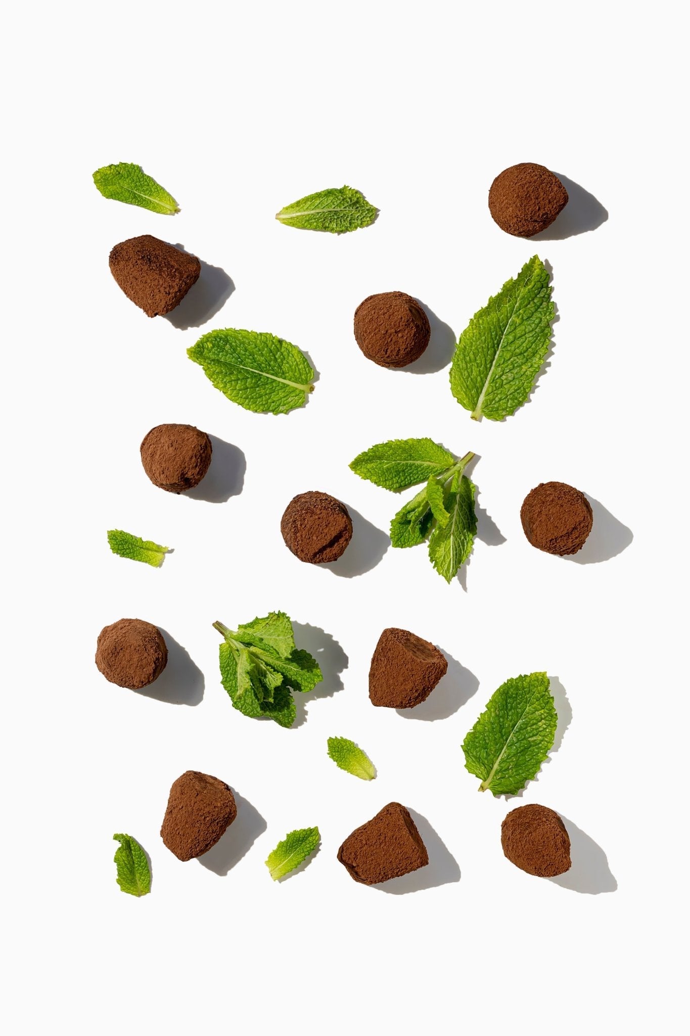 Minz-Schokoladen-Trüffel – Großpackung