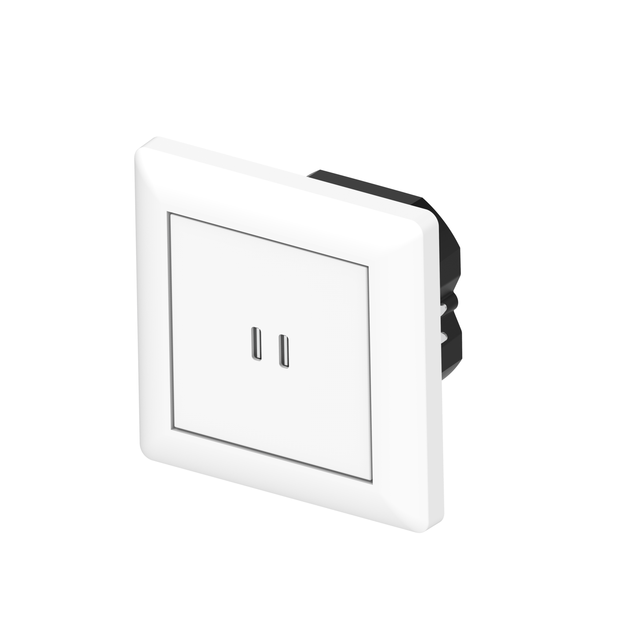 ProCharge USB-C inbouw wandcontactdoos stopcontact duo - 2 snelladers USB-C poorten - Universeel - Wit