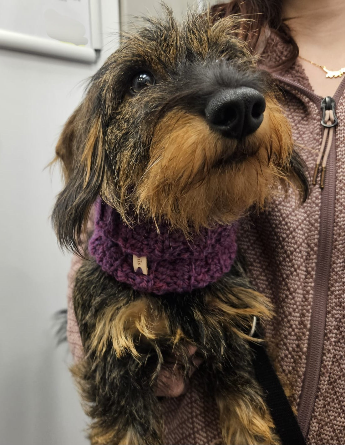 Lila Hunde-Snood, Gehäkelter Hunde-Schal, Handgemachter Haustier-Halswärmer